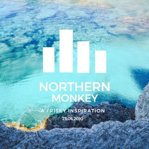 A Frisky Inspiration Northern Monkey