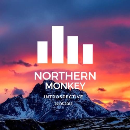 Introspective Northern Monkey
